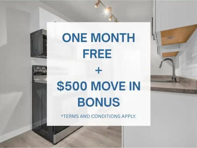 1 Bedroom Apartment Surrey BC 105394117