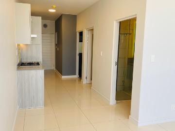 1 Bedroom Apartment To Let in Rosebank