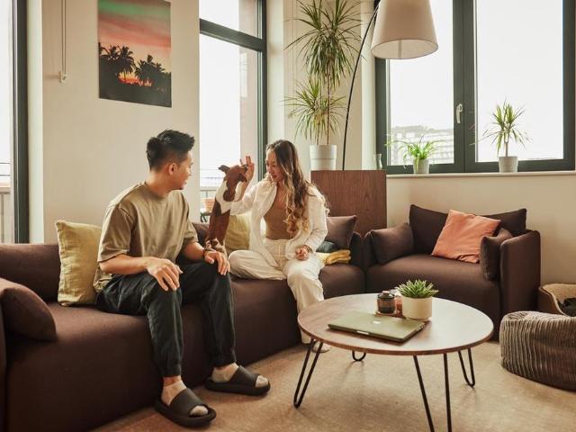1 bedroom apartment to rent