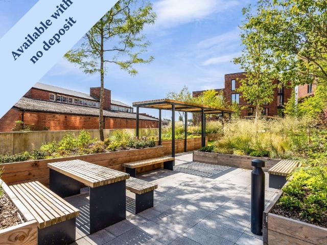 1 bedroom apartment to rent