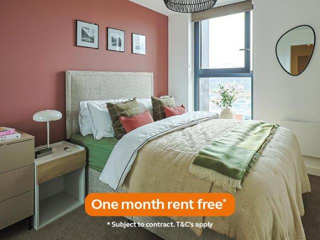 1 bedroom apartment to rent
