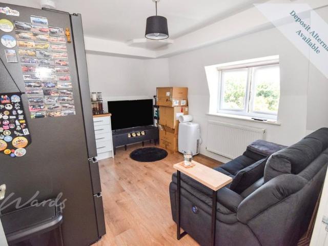 1 bedroom apartment to rent