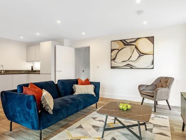 1 bedroom apartment to rent