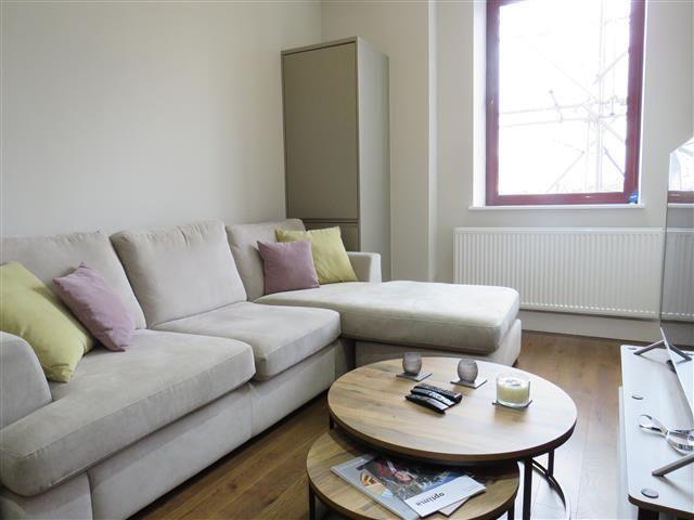 1 bedroom apartment to rent