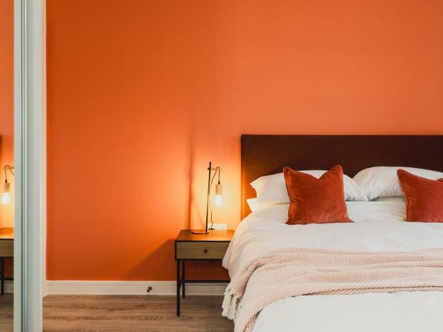 1 bedroom apartment to rent