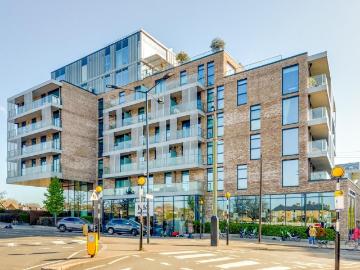 1 bedroom apartment to rent