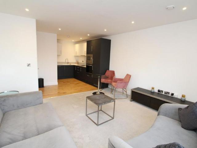 1 bedroom apartment to rent