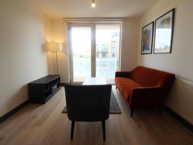 1 bedroom apartment to rent