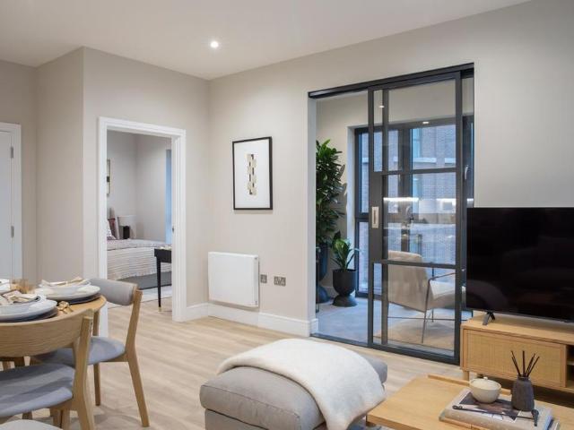 1 bedroom apartment to rent