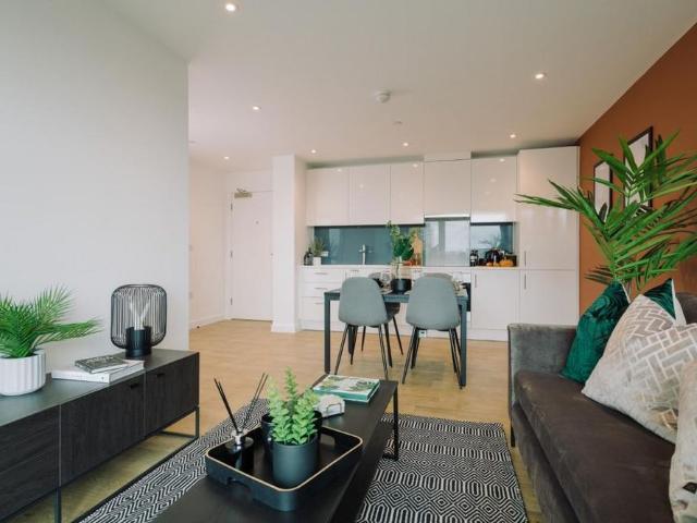 1 bedroom apartment to rent