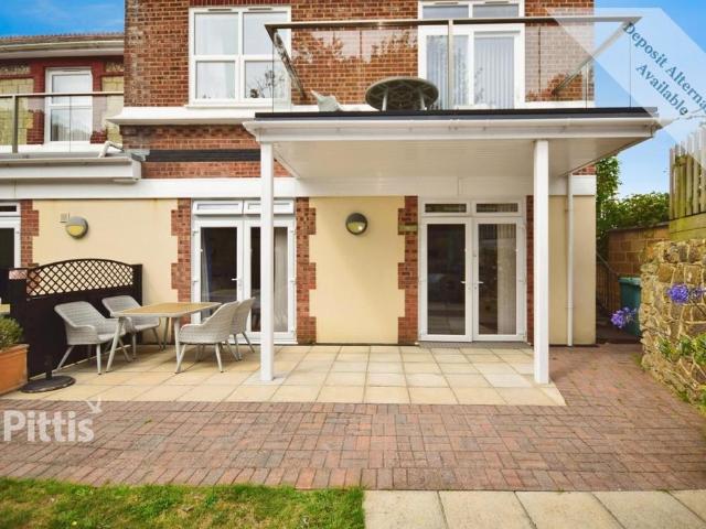 1 bedroom apartment to rent