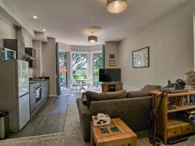 1 bedroom apartment to rent
