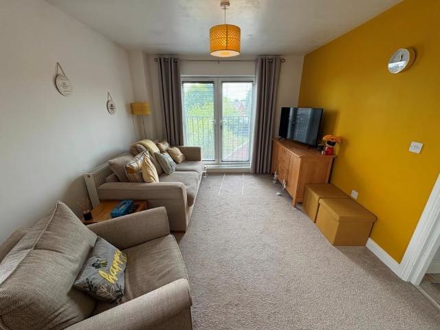 1 bedroom apartment to rent