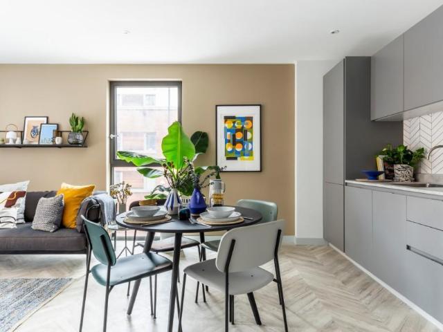 1 bedroom apartment to rent