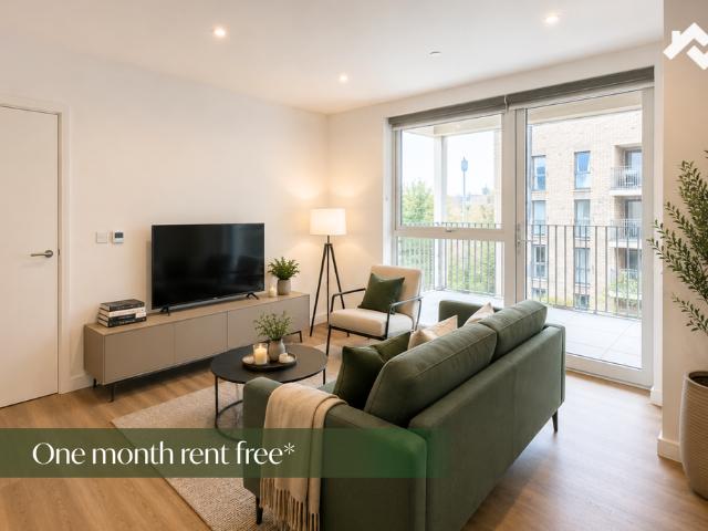 1 bedroom apartment to rent