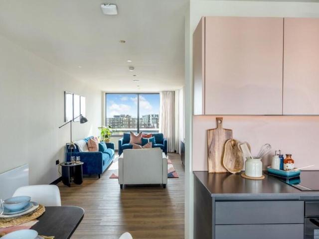 1 bedroom apartment to rent