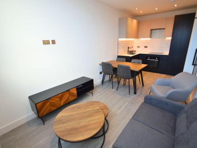 1 bedroom apartment to rent