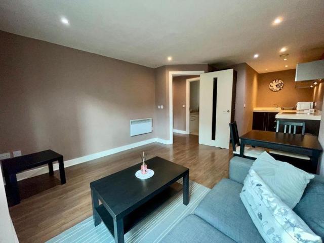 1 bedroom apartment to rent