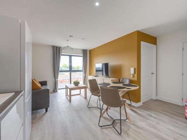 1 bedroom apartment to rent