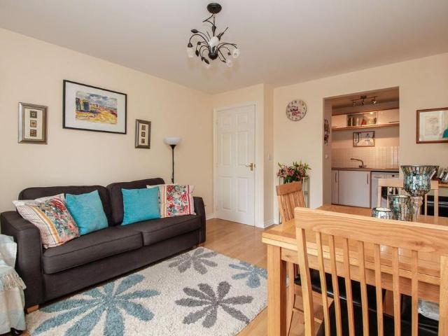 1 bedroom apartment to rent