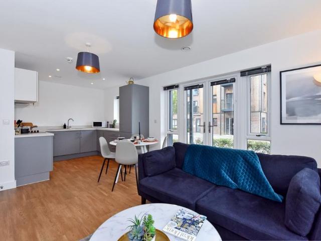 1 bedroom apartment to rent