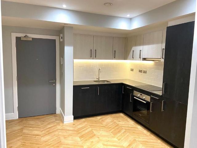 1 bedroom apartment to rent