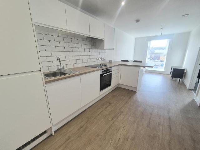 1 bedroom apartment to rent