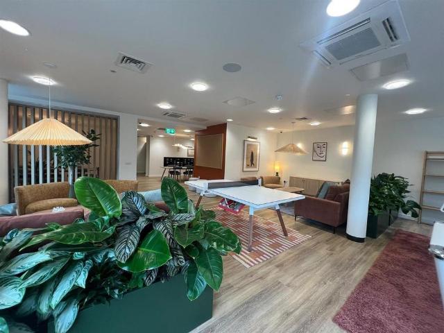 1 bedroom apartment to rent
