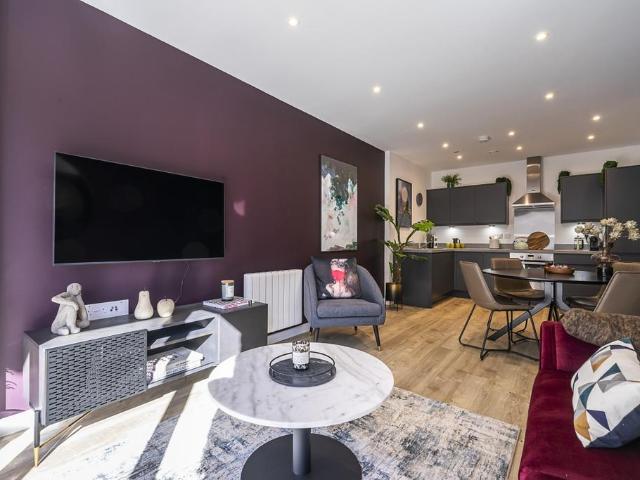 1 bedroom apartment to rent