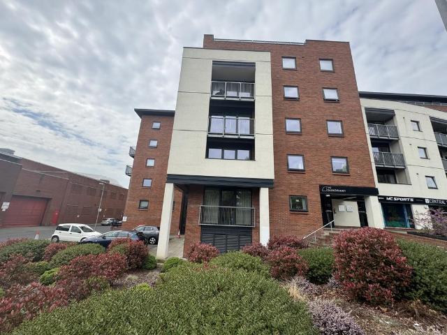 1 bedroom apartment to rent
