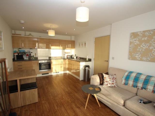 1 bedroom apartment to rent