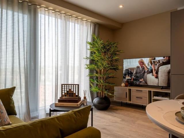 1 bedroom apartment to rent
