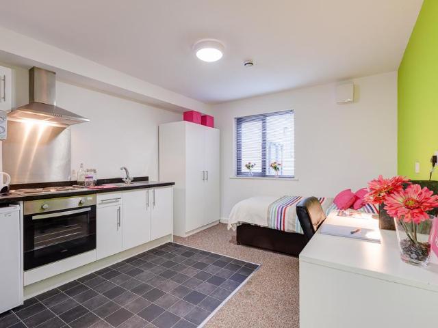 1 bedroom apartment to rent