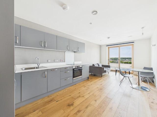 1 bedroom apartment to rent