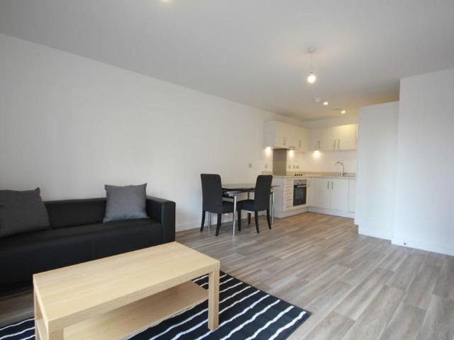 1 bedroom apartment to rent