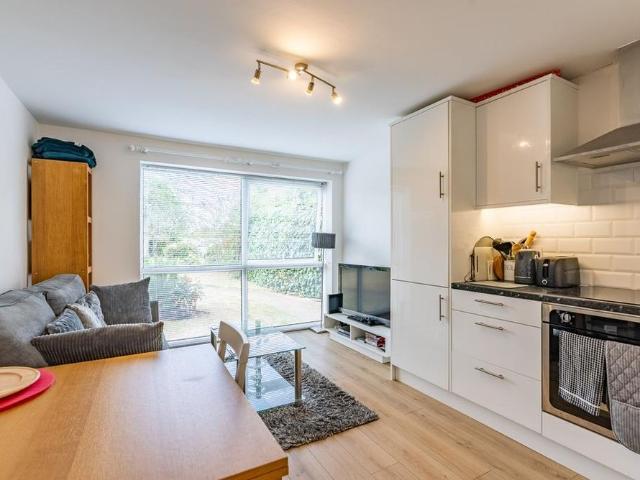 1 bedroom apartment to rent