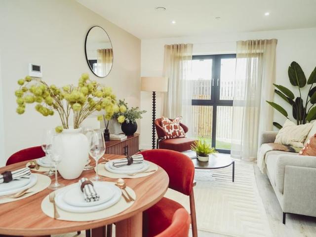 1 bedroom apartment to rent