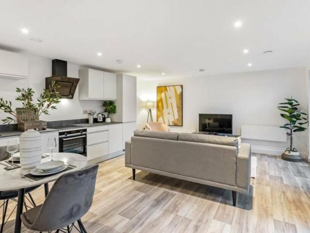 1 bedroom apartment to rent