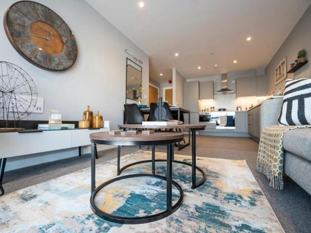 1 bedroom apartment to rent