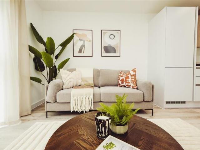 1 bedroom apartment to rent