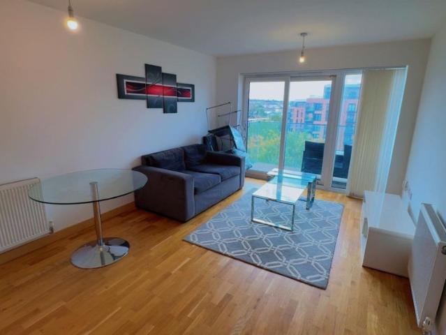 1 bedroom apartment to rent