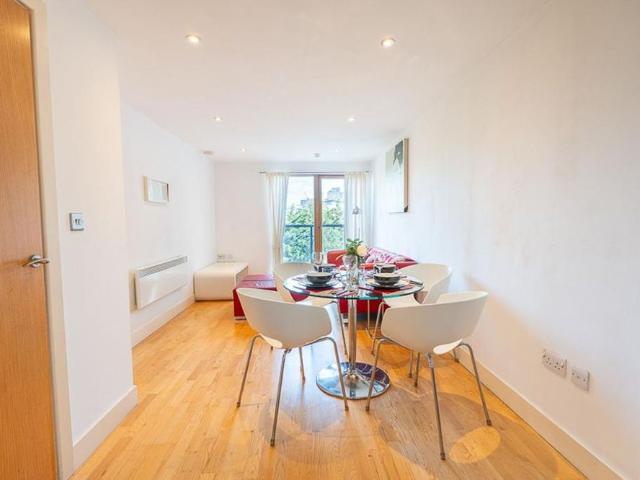 1 bedroom apartment to rent