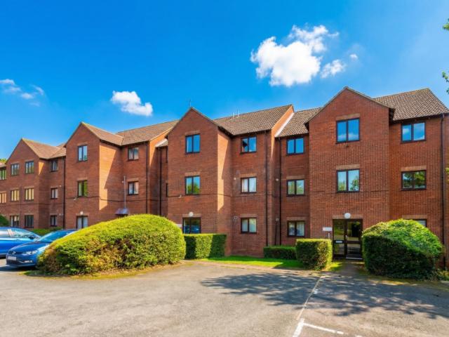 1 bedroom apartment to rent