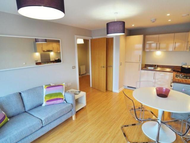 1 bedroom apartment to rent