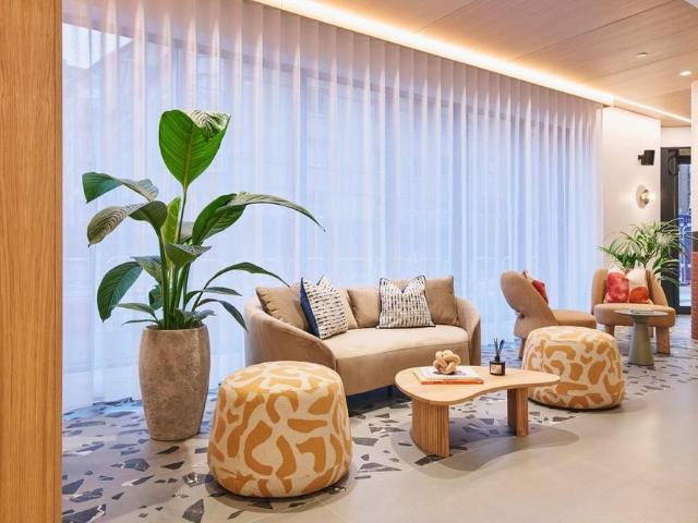1 bedroom apartment to rent