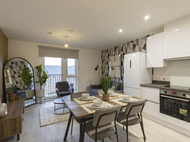 1 bedroom apartment to rent