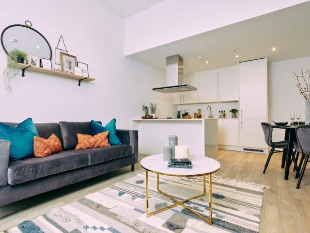 1 bedroom apartment to rent