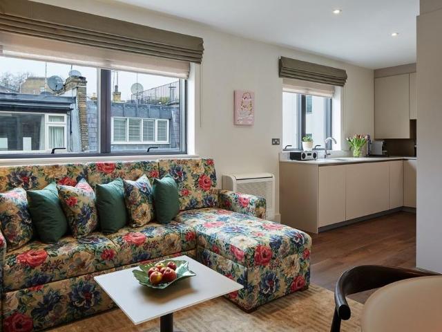 1 bedroom apartment to rent