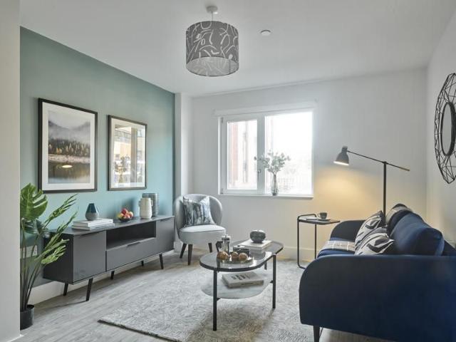 1 bedroom apartment to rent