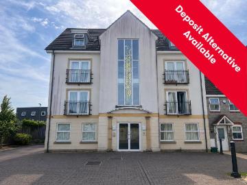 1 bedroom apartment to rent